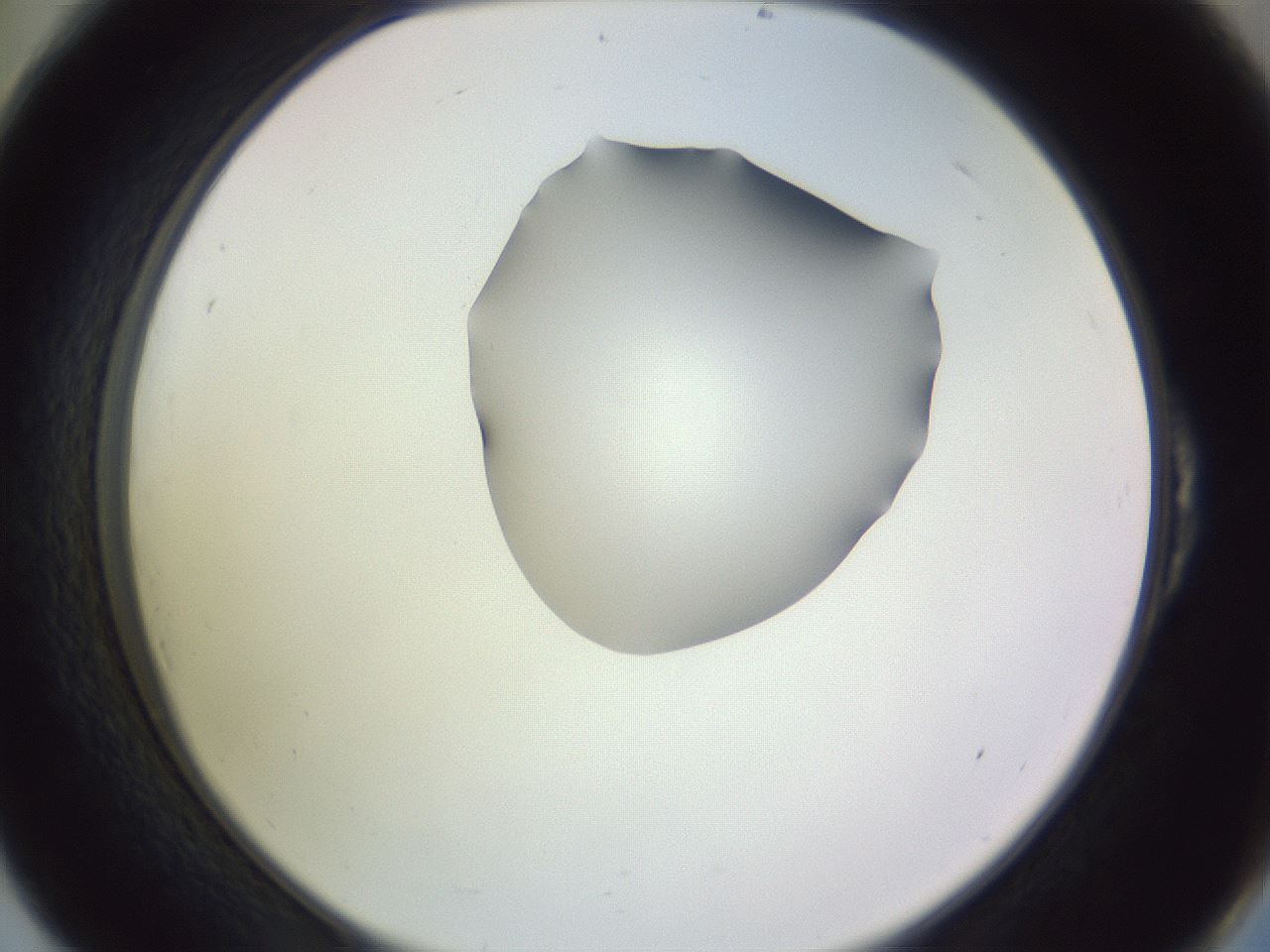 folderID280_plateID1280_batchID4172_wellNum54_profileID1_d2_r75363_ef.jpg