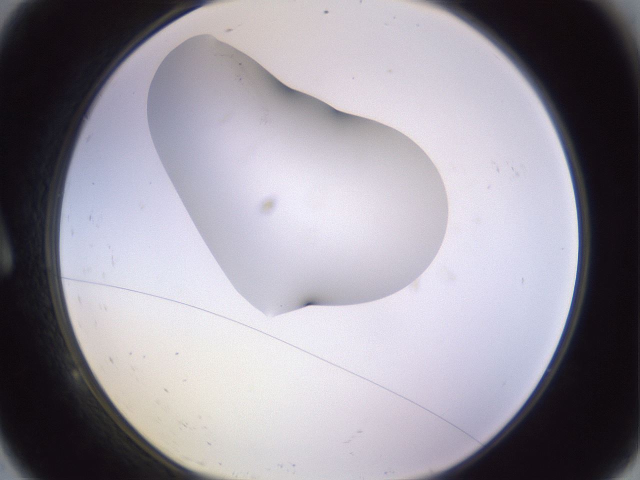 folderID280_plateID1280_batchID4172_wellNum9_profileID1_d1_r75272_ef.jpg