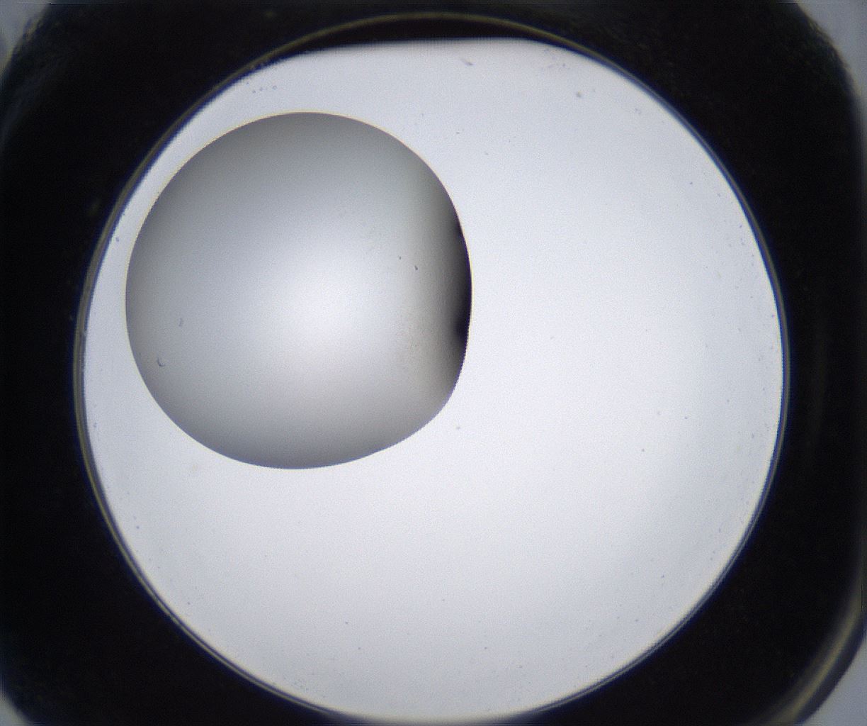 folderID280_plateID2280_batchID10795_wellNum2_profileID1_d2_r159217_ef.jpg