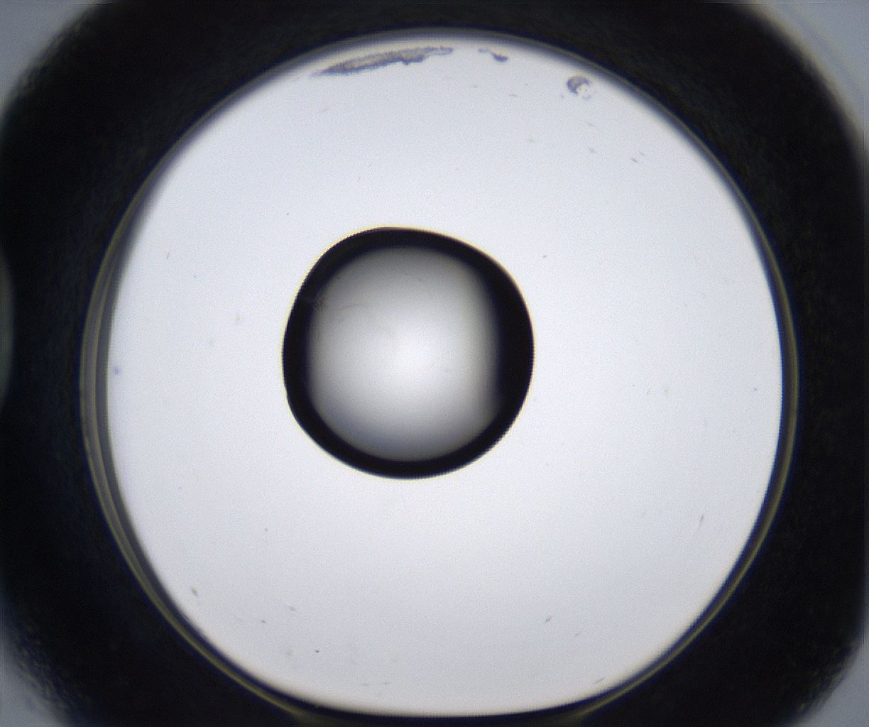folderID280_plateID2280_batchID10795_wellNum41_profileID1_d1_r159294_ef.jpg