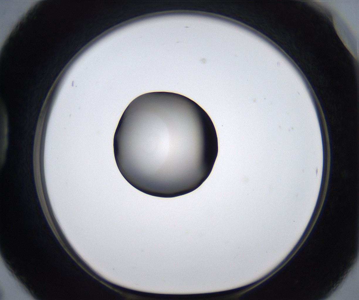 folderID280_plateID2280_batchID10795_wellNum42_profileID1_d1_r159296_ef.jpg