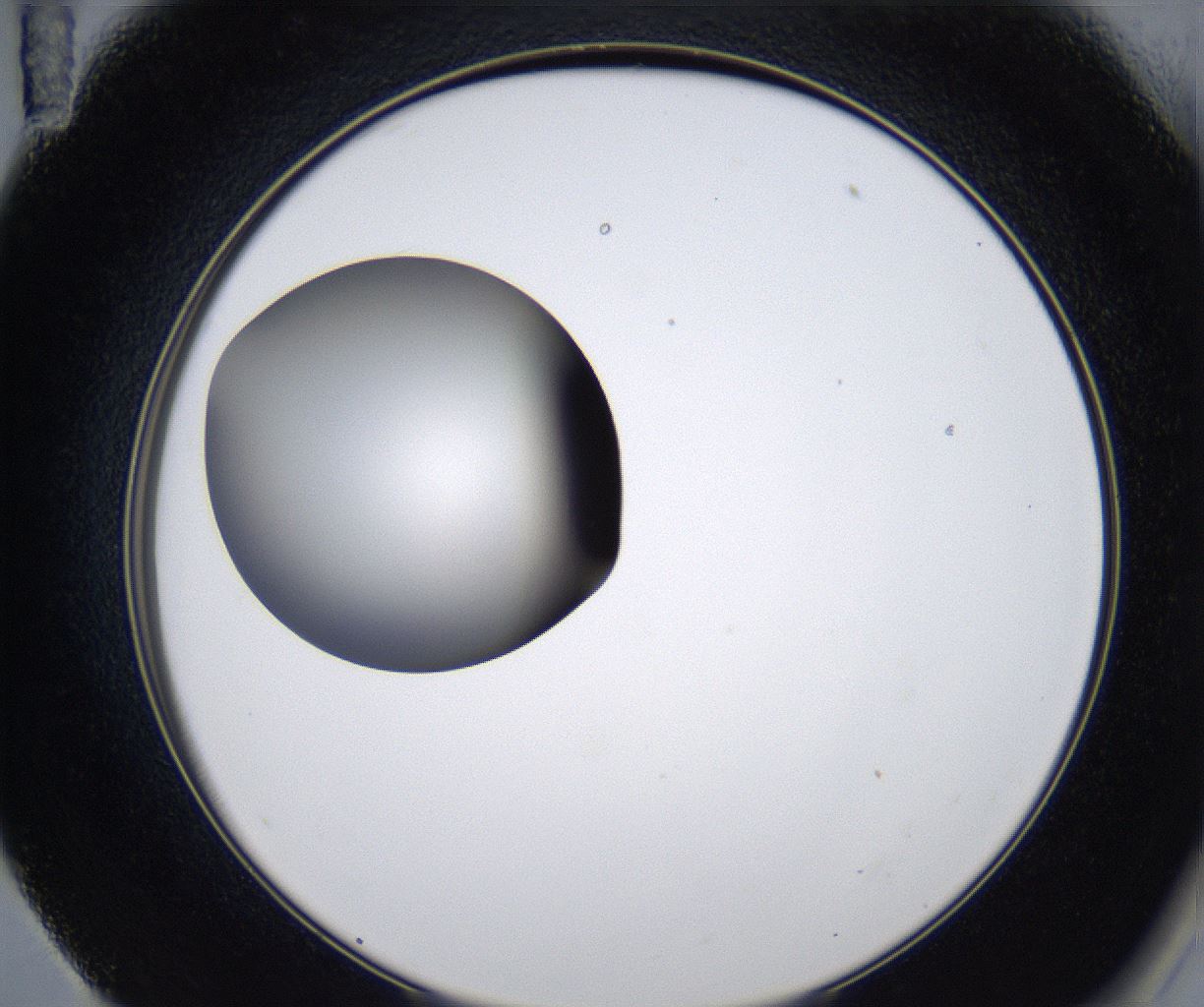 folderID280_plateID2280_batchID10795_wellNum59_profileID1_d2_r159331_ef.jpg