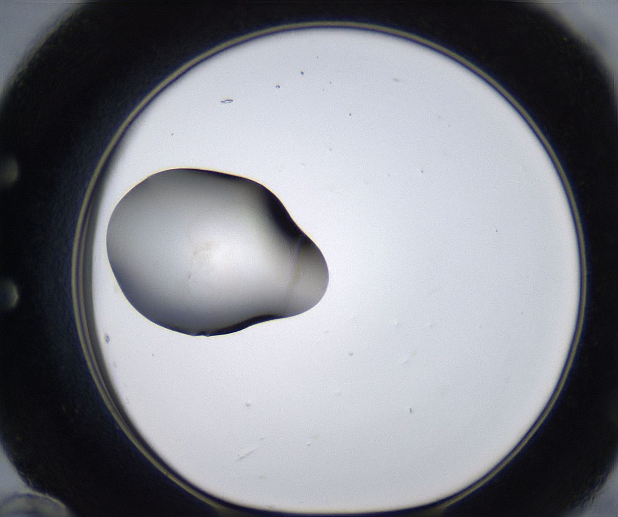 folderID280_plateID2280_batchID10795_wellNum60_profileID1_d1_r159332_ef.jpg