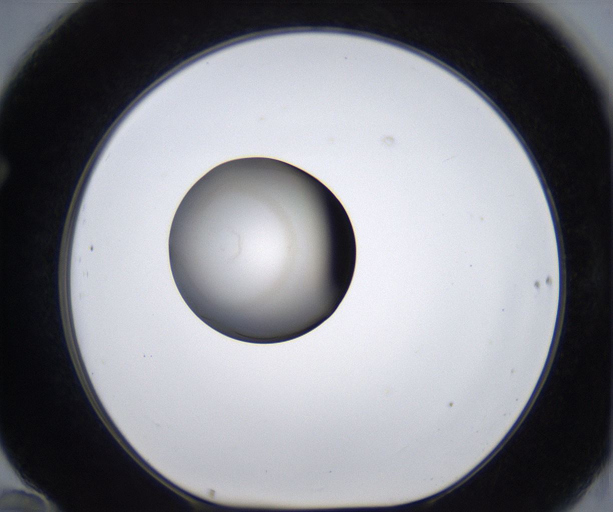 folderID280_plateID2280_batchID10795_wellNum70_profileID1_d1_r159352_ef.jpg