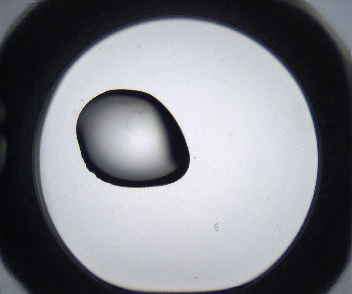 folderID280_plateID2280_batchID10795_wellNum78_profileID1_d1_r159368_ef.jpg