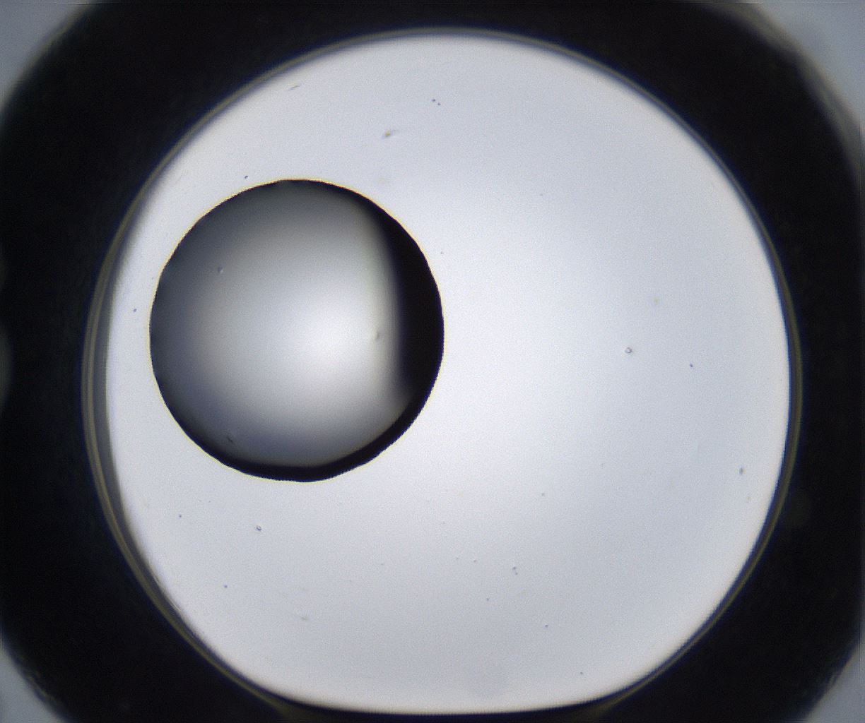 folderID280_plateID2280_batchID10795_wellNum79_profileID1_d1_r159370_ef.jpg