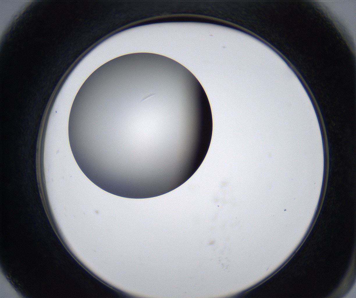 folderID280_plateID2280_batchID10795_wellNum79_profileID1_d2_r159371_ef.jpg