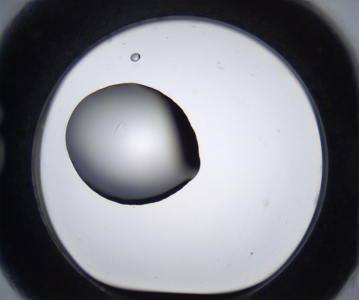 folderID280_plateID2280_batchID10795_wellNum81_profileID1_d1_r159374_ef.jpg