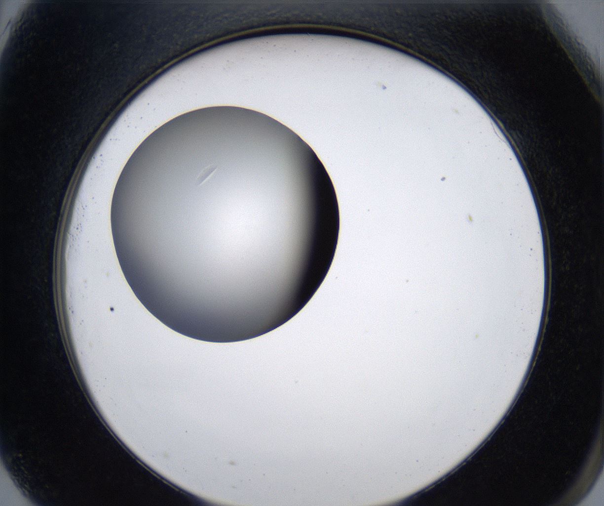folderID280_plateID2280_batchID10795_wellNum81_profileID1_d2_r159375_ef.jpg