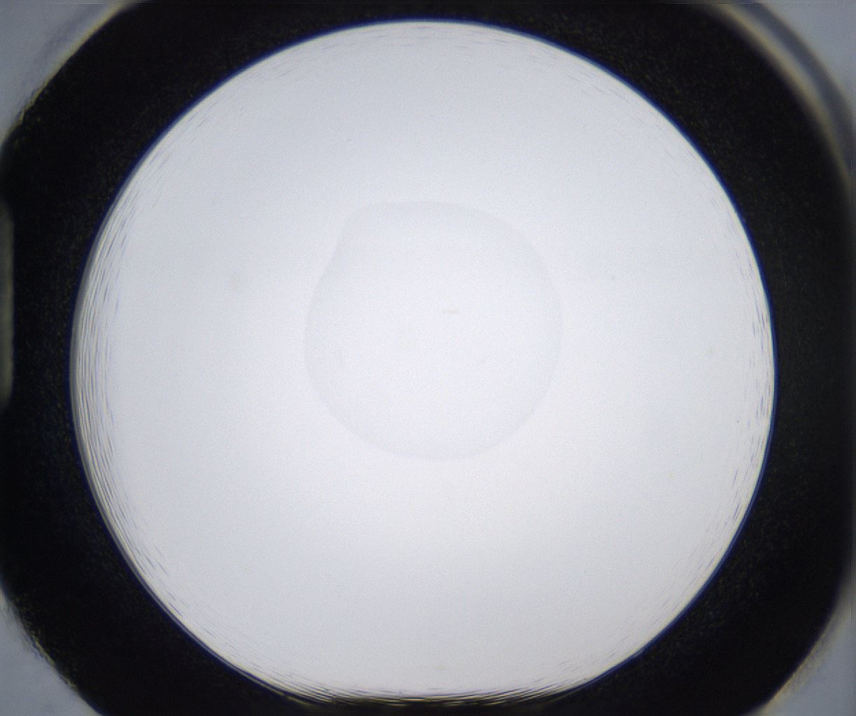 folderID280_plateID2280_batchID10795_wellNum85_profileID1_d1_r159382_ef.jpg