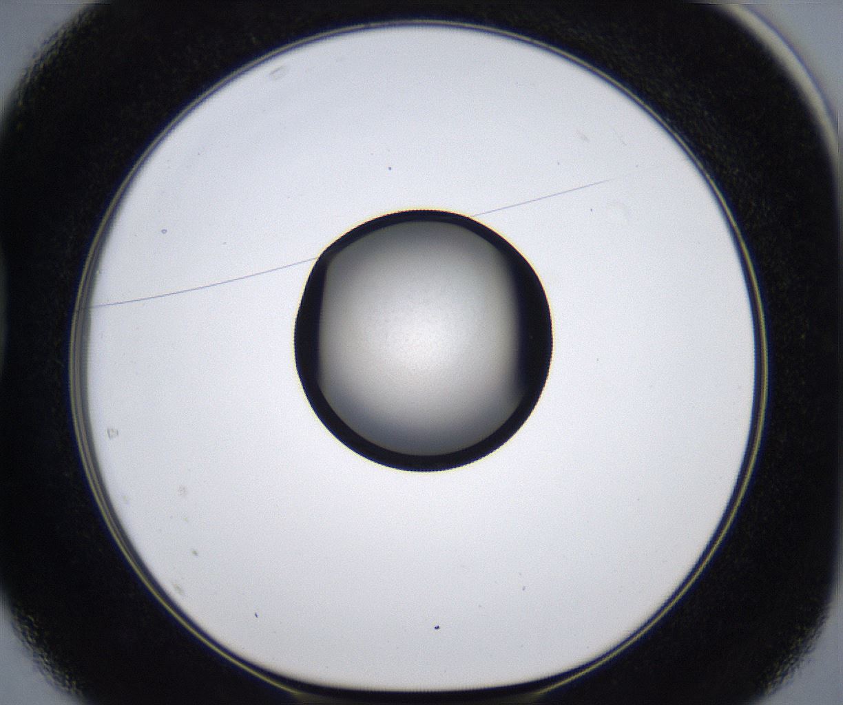 folderID280_plateID2280_batchID10795_wellNum37_profileID1_d1_r159286_ef.jpg
