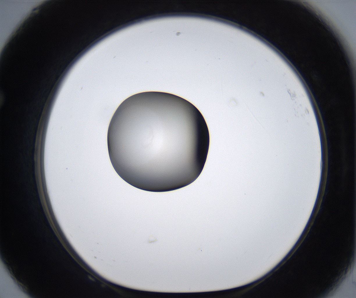 folderID280_plateID2280_batchID10795_wellNum68_profileID1_d1_r159348_ef.jpg