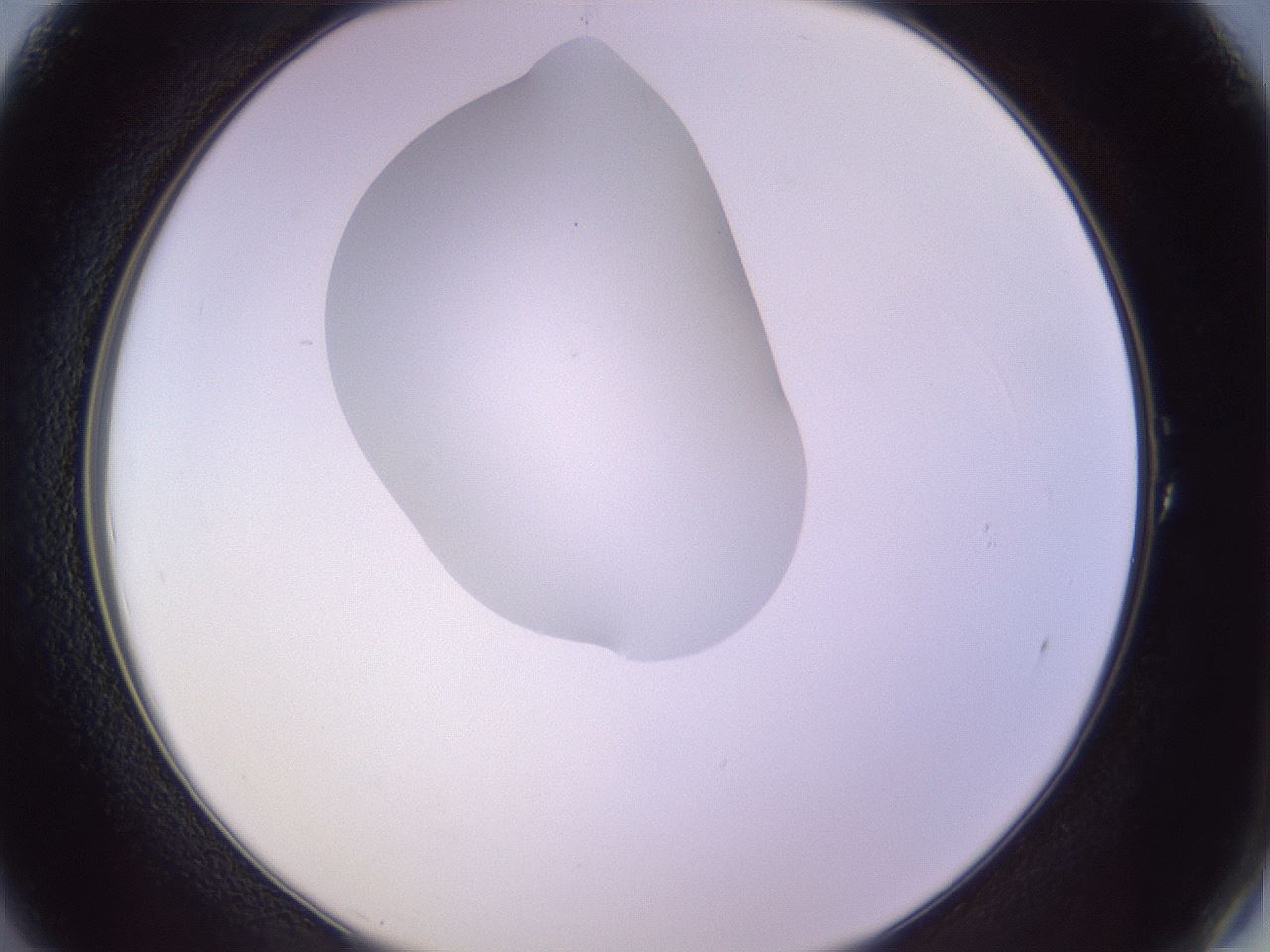 folderID281_plateID1281_batchID4174_wellNum1_profileID1_d2_r75833_ef.jpg