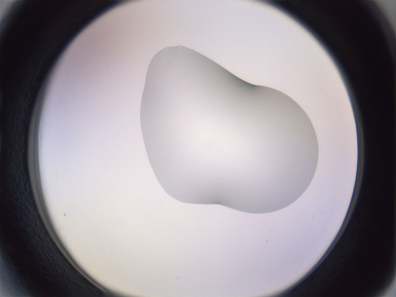 folderID281_plateID1281_batchID4174_wellNum27_profileID1_d1_r75884_ef.jpg