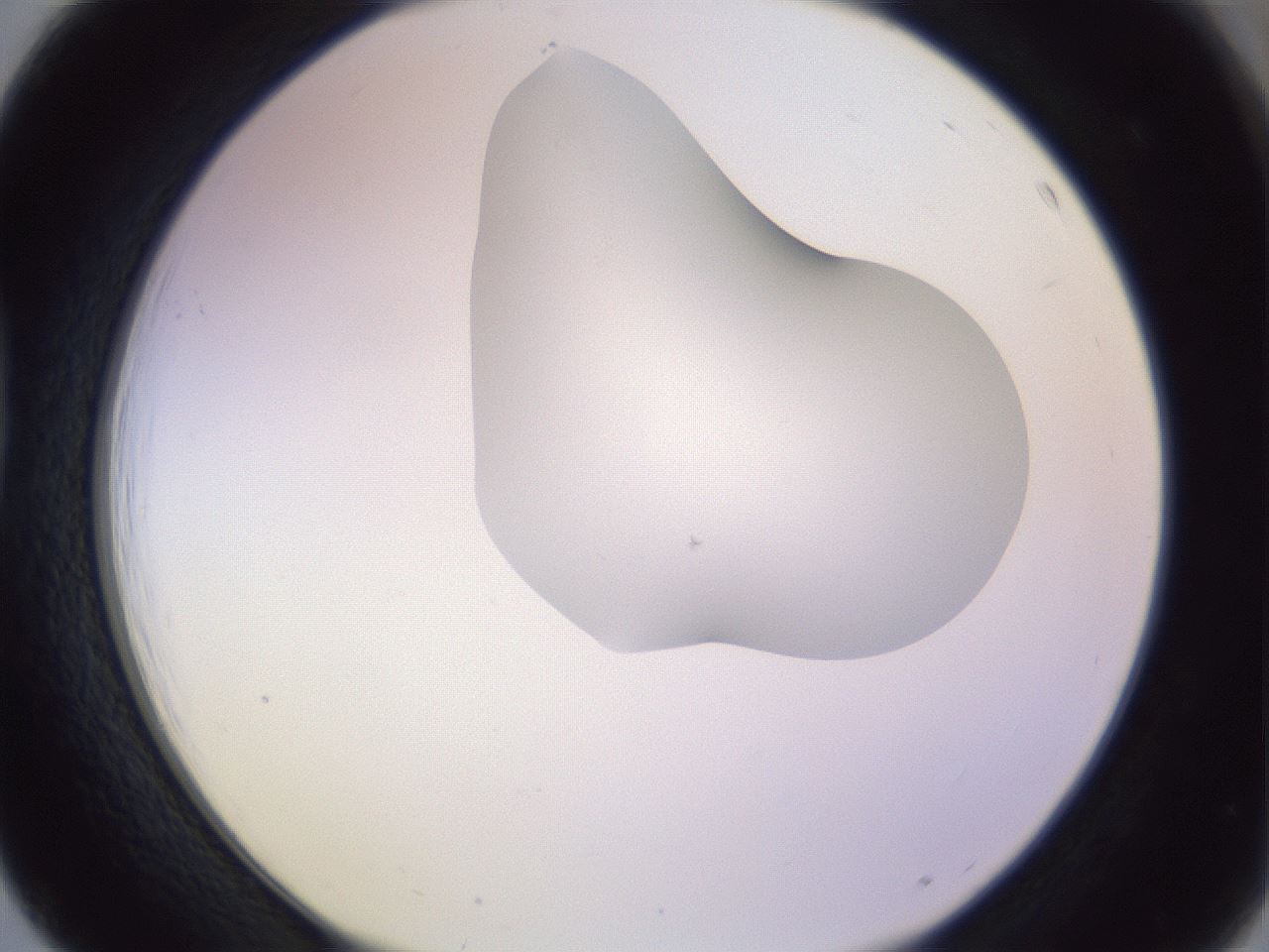 folderID281_plateID1281_batchID4174_wellNum39_profileID1_d1_r75908_ef.jpg