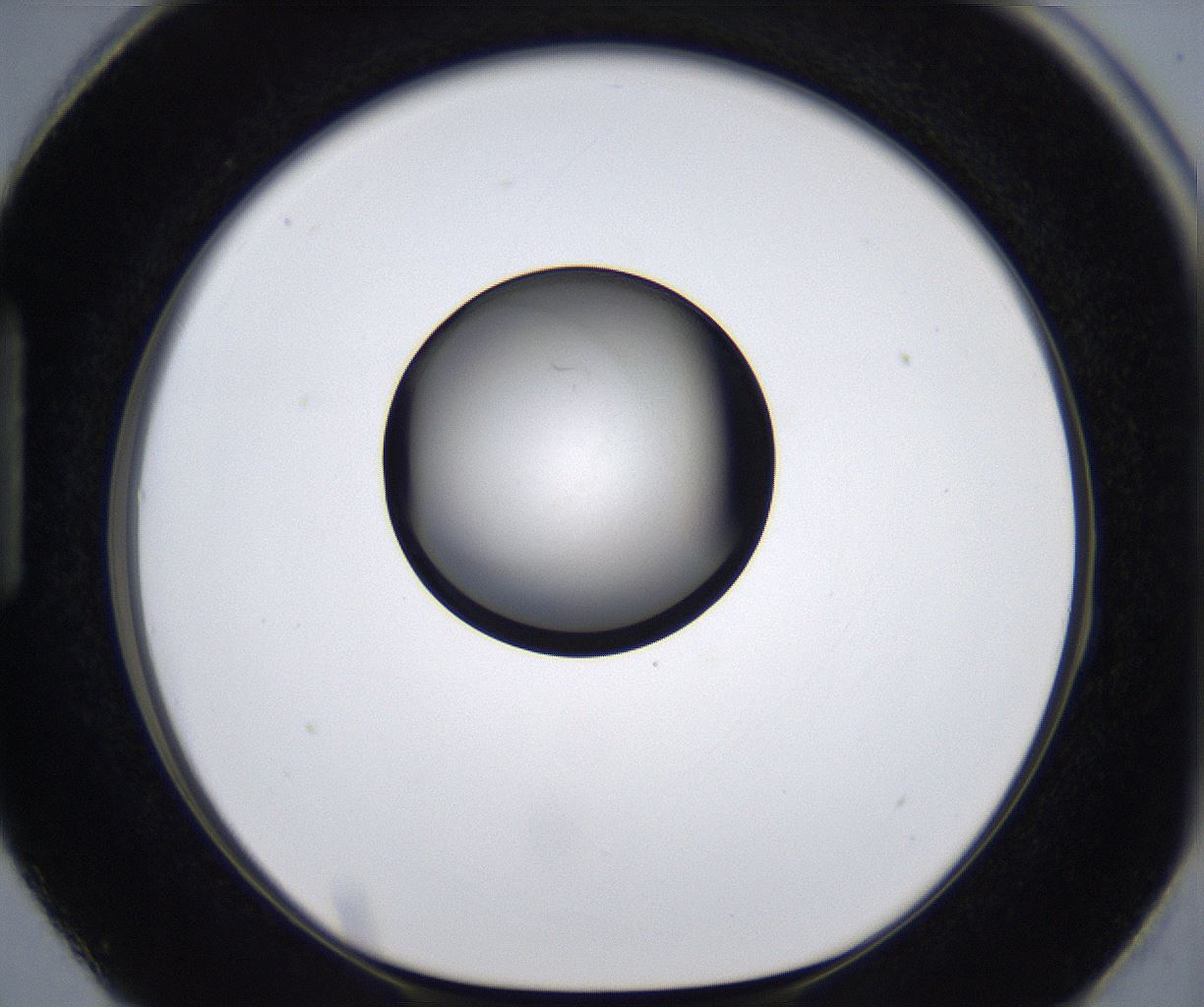 folderID280_plateID2280_batchID10795_wellNum87_profileID1_d1_r159386_ef.jpg
