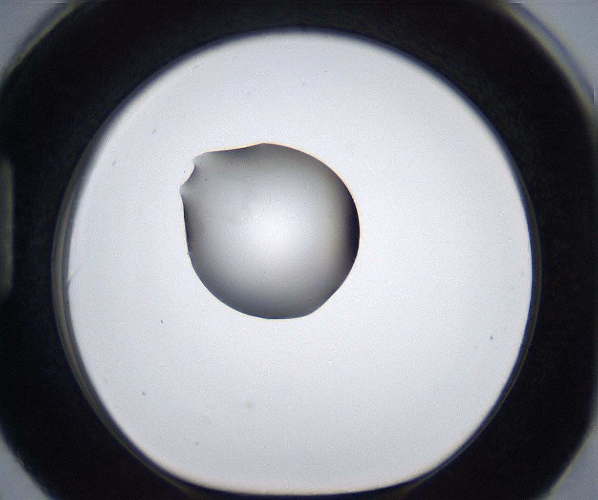 folderID280_plateID2280_batchID10795_wellNum90_profileID1_d1_r159392_ef.jpg