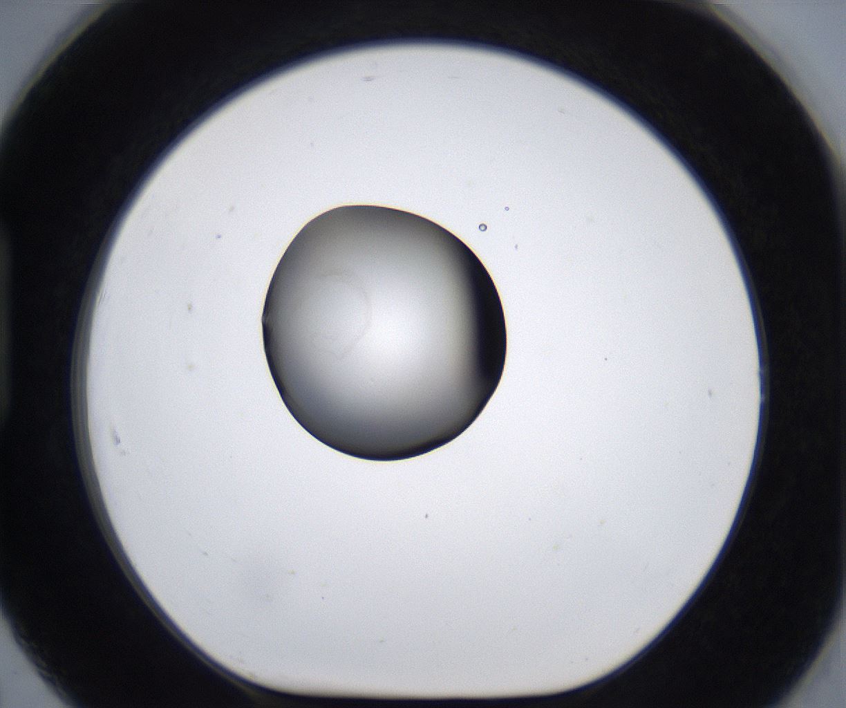 folderID280_plateID2280_batchID10795_wellNum91_profileID1_d1_r159394_ef.jpg