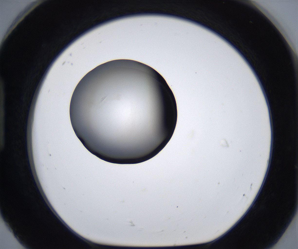 folderID280_plateID2280_batchID10795_wellNum92_profileID1_d1_r159396_ef.jpg