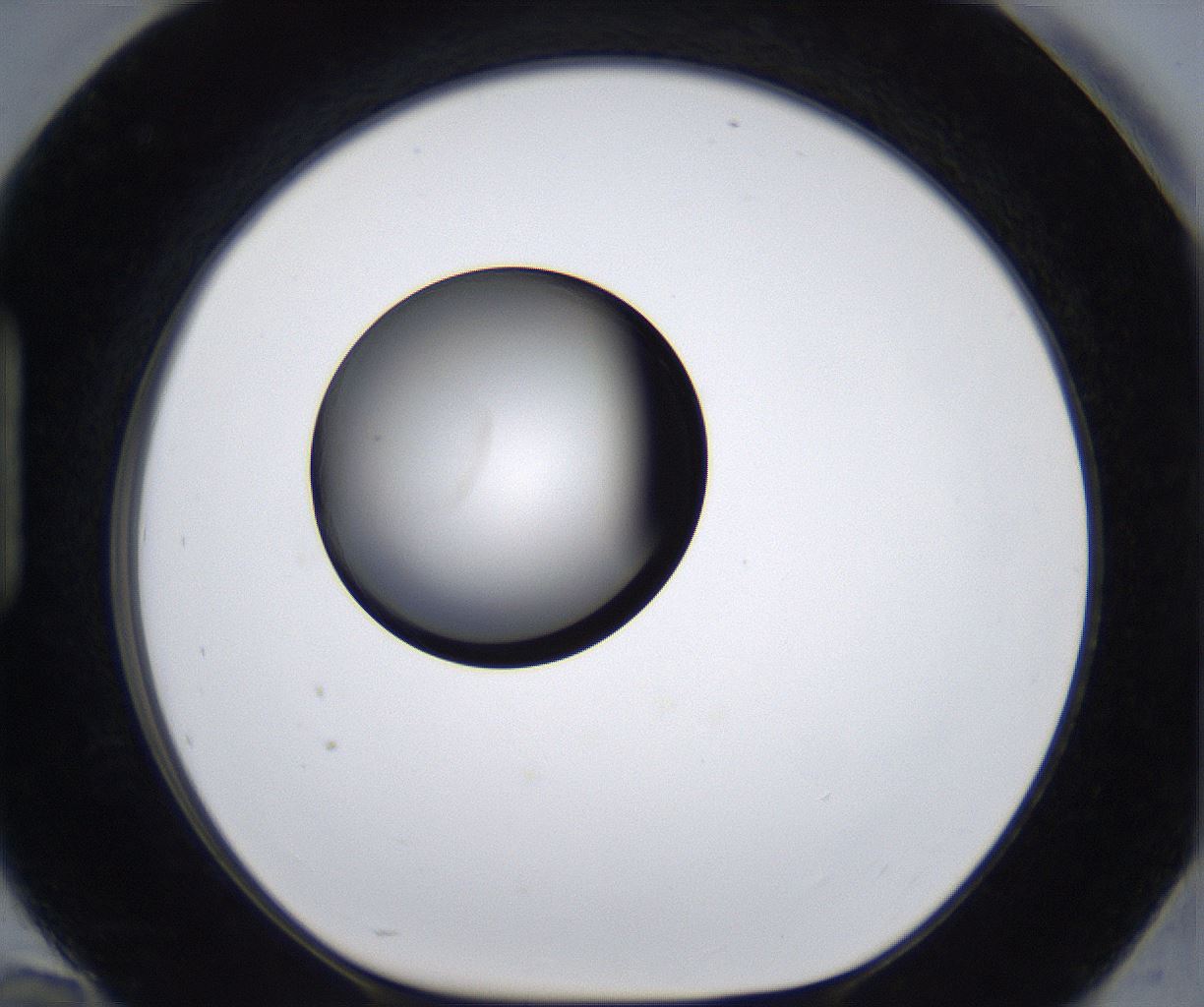 folderID280_plateID2280_batchID10795_wellNum94_profileID1_d1_r159400_ef.jpg