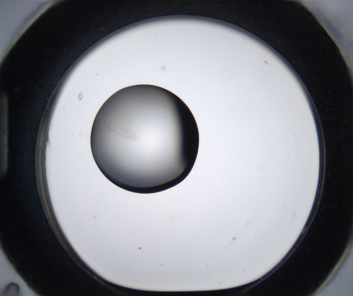 folderID280_plateID2280_batchID10795_wellNum95_profileID1_d1_r159402_ef.jpg