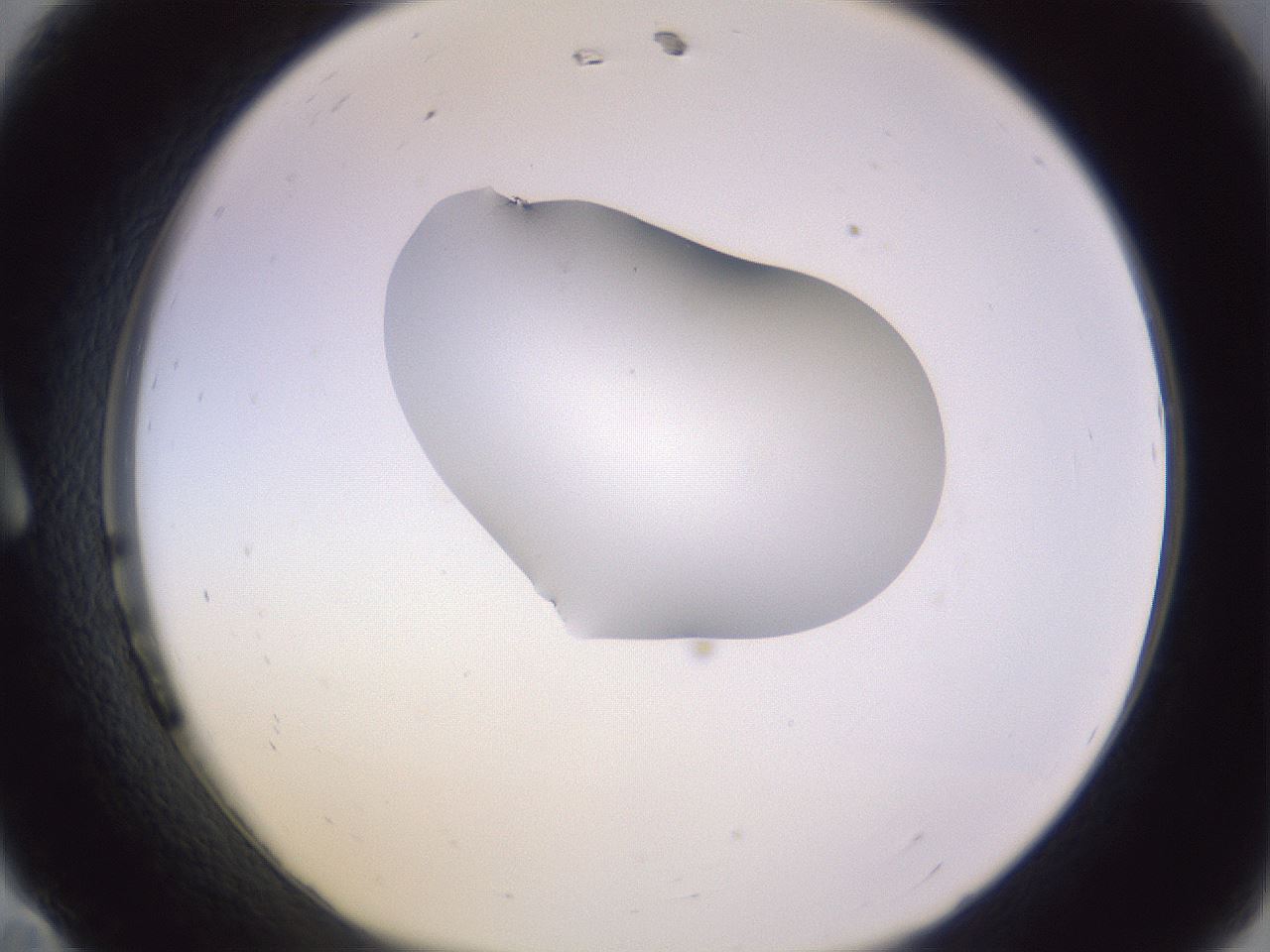 folderID281_plateID1281_batchID4174_wellNum11_profileID1_d1_r75852_ef.jpg