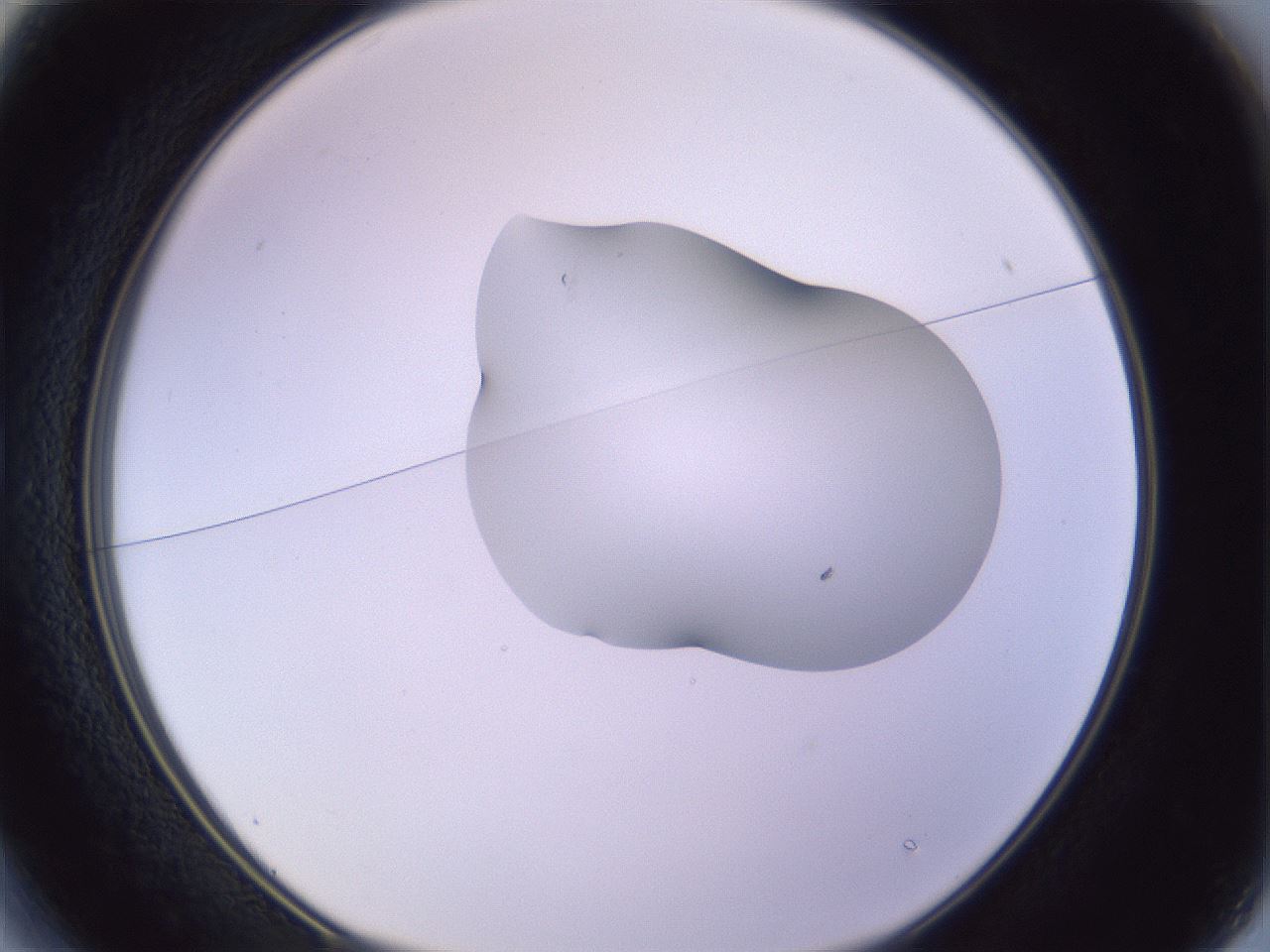 folderID281_plateID1281_batchID4174_wellNum13_profileID1_d1_r75856_ef.jpg