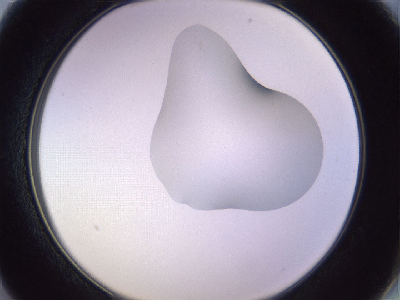 folderID281_plateID1281_batchID4174_wellNum13_profileID1_d2_r75857_ef.jpg