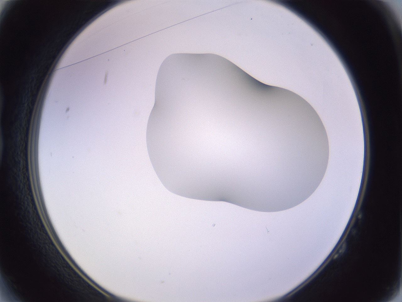 folderID281_plateID1281_batchID4174_wellNum14_profileID1_d1_r75858_ef.jpg