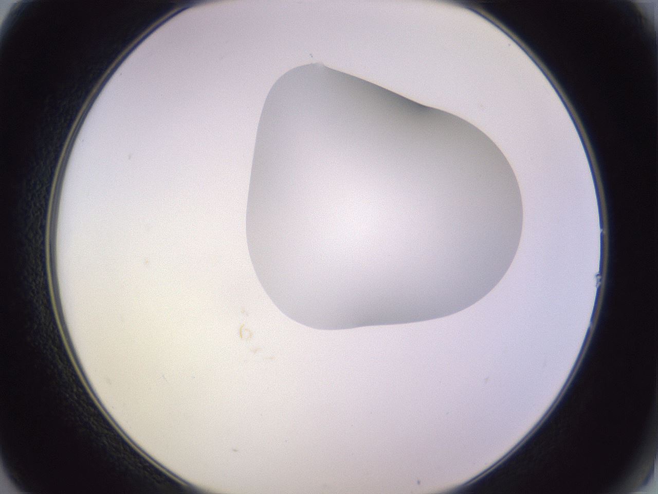 folderID281_plateID1281_batchID4174_wellNum14_profileID1_d2_r75859_ef.jpg