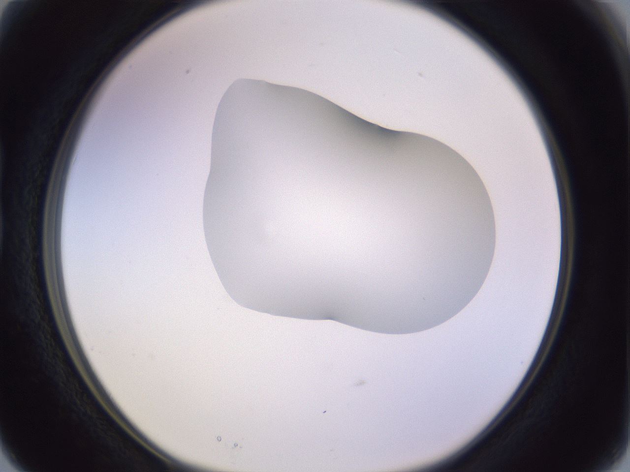 folderID281_plateID1281_batchID4174_wellNum15_profileID1_d1_r75860_ef.jpg