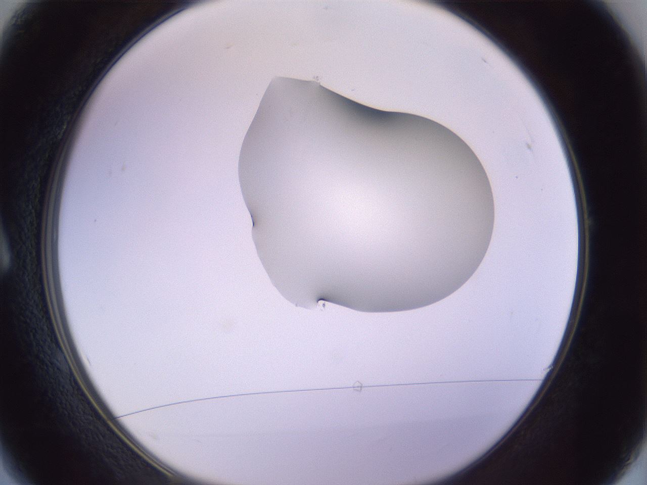 folderID281_plateID1281_batchID4174_wellNum1_profileID1_d1_r75832_ef.jpg