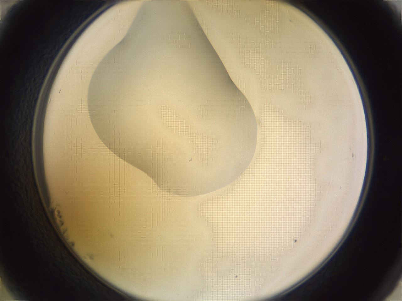 folderID281_plateID1281_batchID4174_wellNum23_profileID1_d2_r75877_ef.jpg