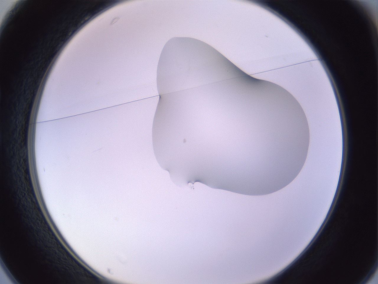folderID281_plateID1281_batchID4174_wellNum25_profileID1_d1_r75880_ef.jpg