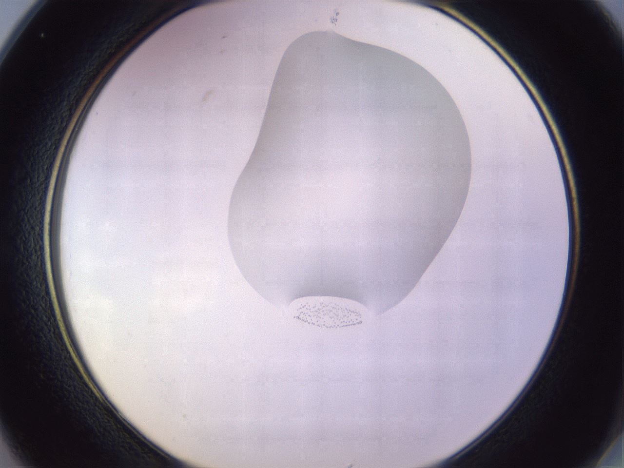 folderID281_plateID1281_batchID4174_wellNum25_profileID1_d2_r75881_ef.jpg