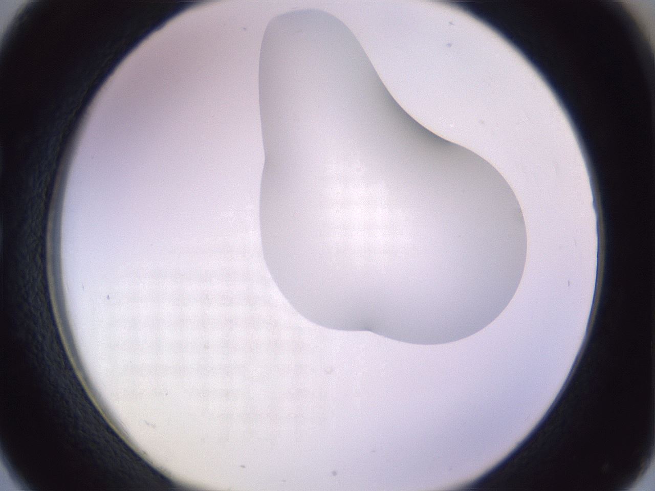 folderID281_plateID1281_batchID4174_wellNum26_profileID1_d1_r75882_ef.jpg