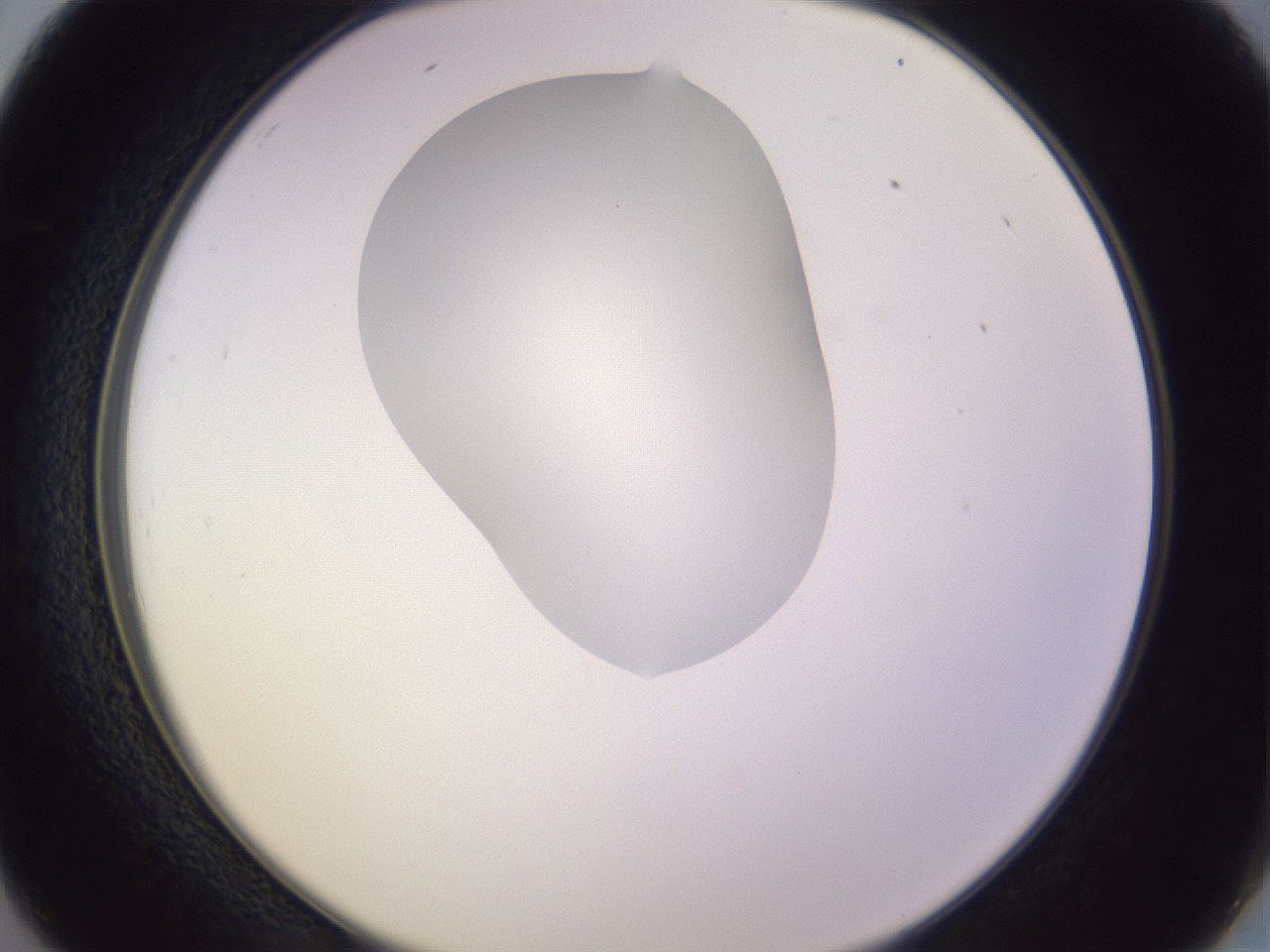 folderID281_plateID1281_batchID4174_wellNum26_profileID1_d2_r75883_ef.jpg