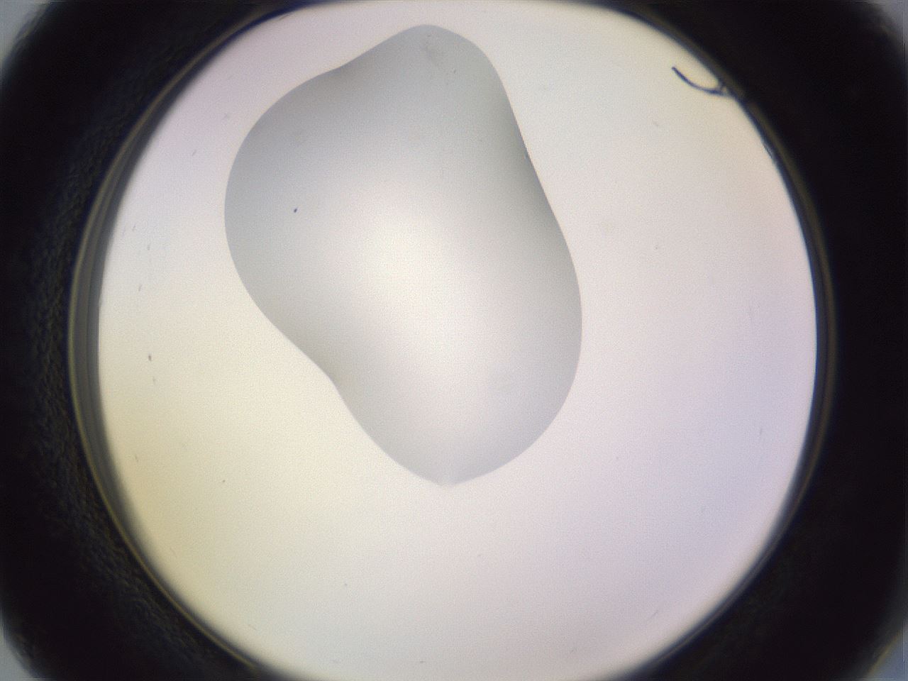 folderID281_plateID1281_batchID4174_wellNum27_profileID1_d2_r75885_ef.jpg