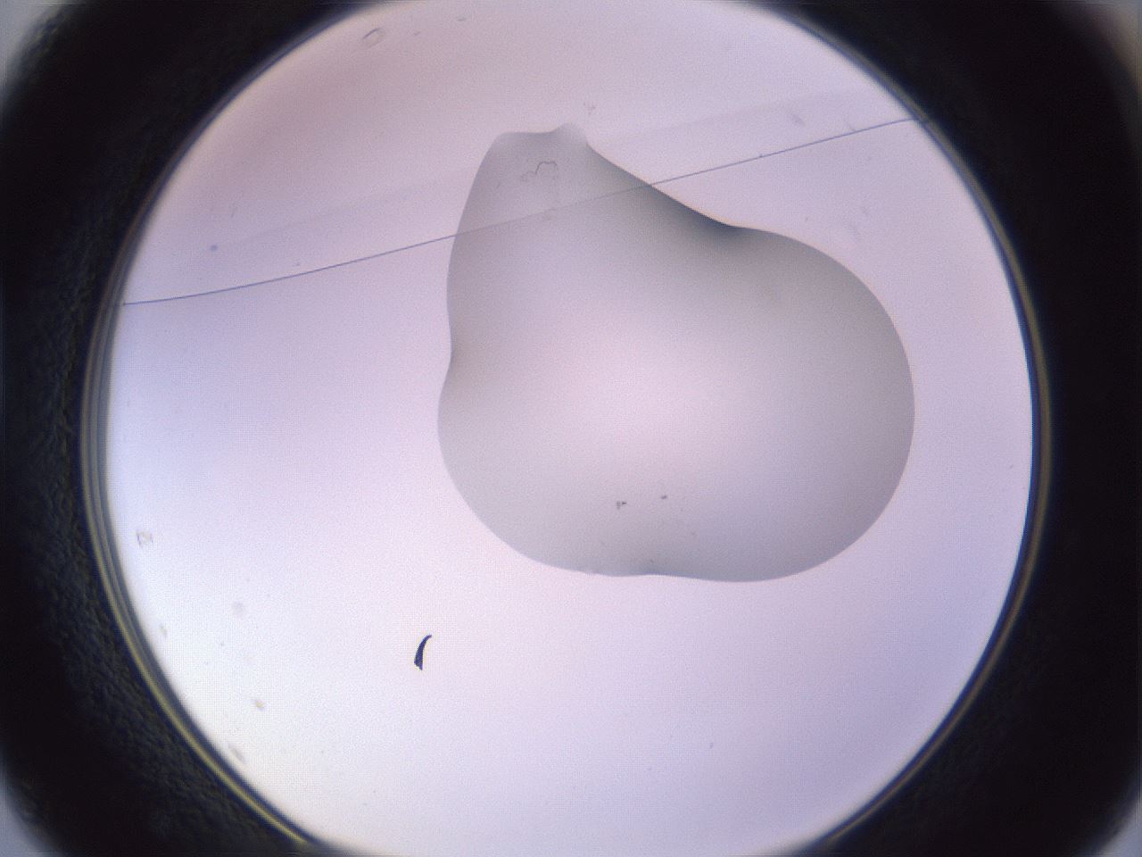 folderID281_plateID1281_batchID4174_wellNum37_profileID1_d1_r75904_ef.jpg