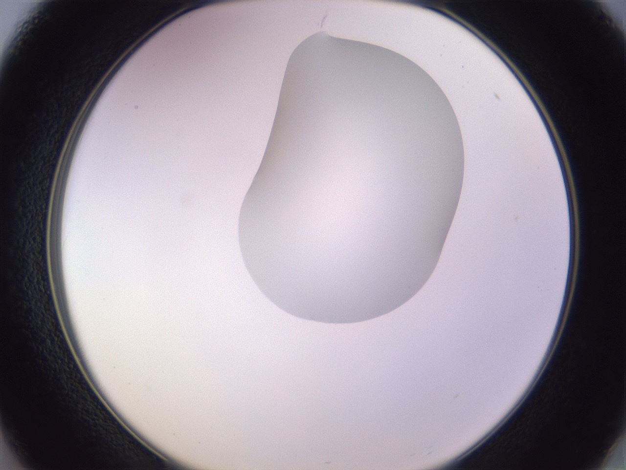 folderID281_plateID1281_batchID4174_wellNum37_profileID1_d2_r75905_ef.jpg