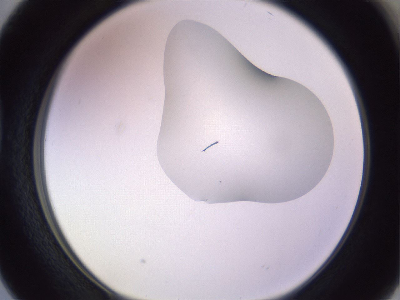 folderID281_plateID1281_batchID4174_wellNum38_profileID1_d1_r75906_ef.jpg
