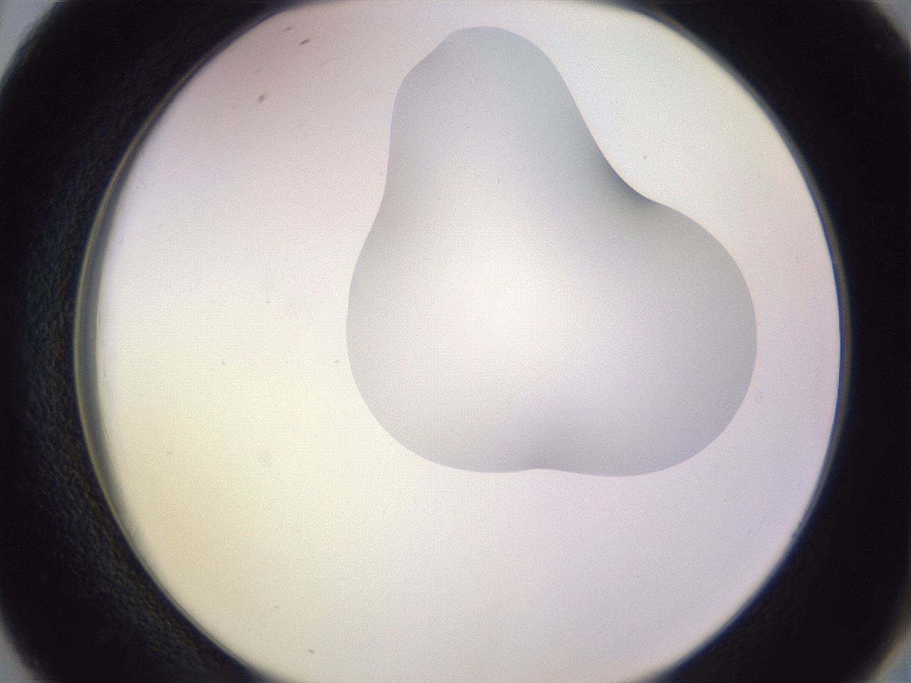 folderID281_plateID1281_batchID4174_wellNum38_profileID1_d2_r75907_ef.jpg