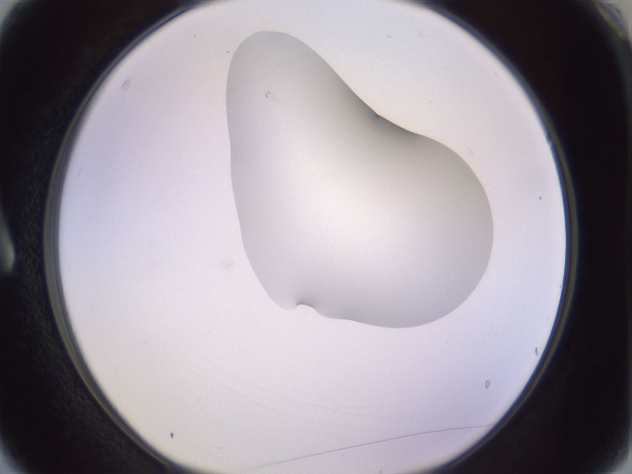 folderID281_plateID1281_batchID4174_wellNum3_profileID1_d1_r75836_ef.jpg