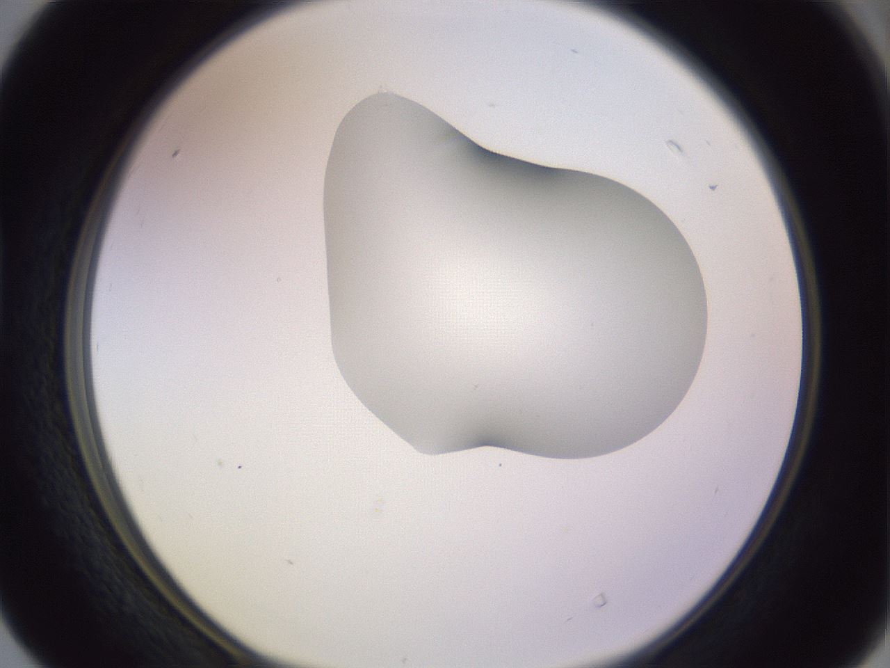 folderID281_plateID1281_batchID4174_wellNum40_profileID1_d1_r75910_ef.jpg