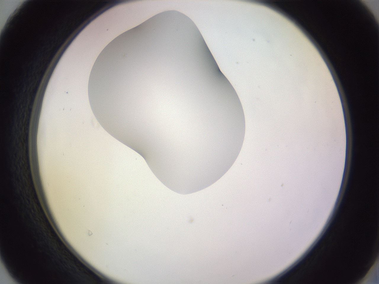 folderID281_plateID1281_batchID4174_wellNum40_profileID1_d2_r75911_ef.jpg