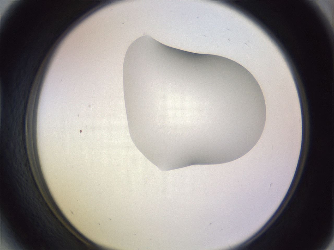 folderID281_plateID1281_batchID4174_wellNum41_profileID1_d1_r75912_ef.jpg
