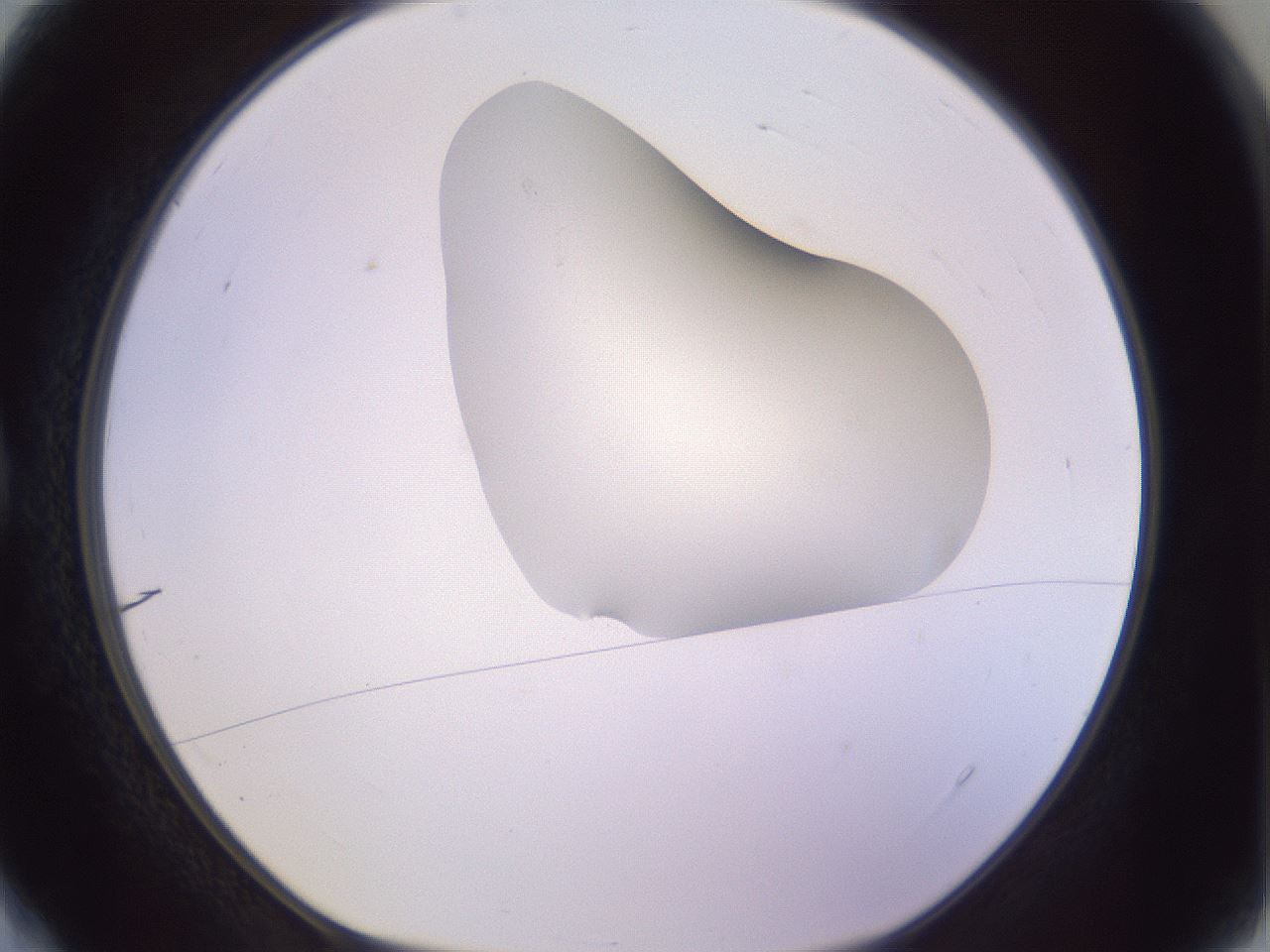 folderID281_plateID1281_batchID4174_wellNum4_profileID1_d1_r75838_ef.jpg