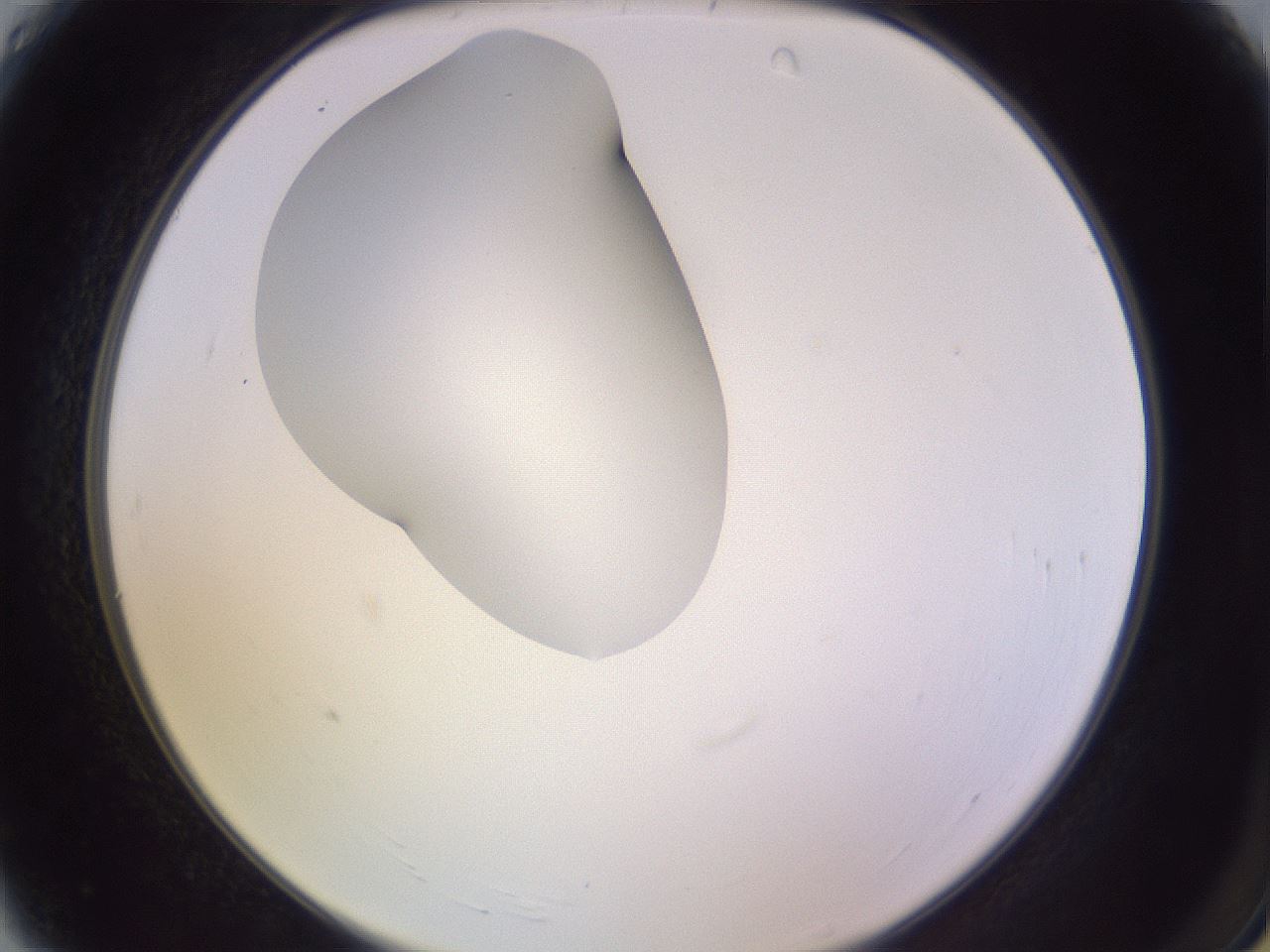 folderID281_plateID1281_batchID4174_wellNum4_profileID1_d2_r75839_ef.jpg