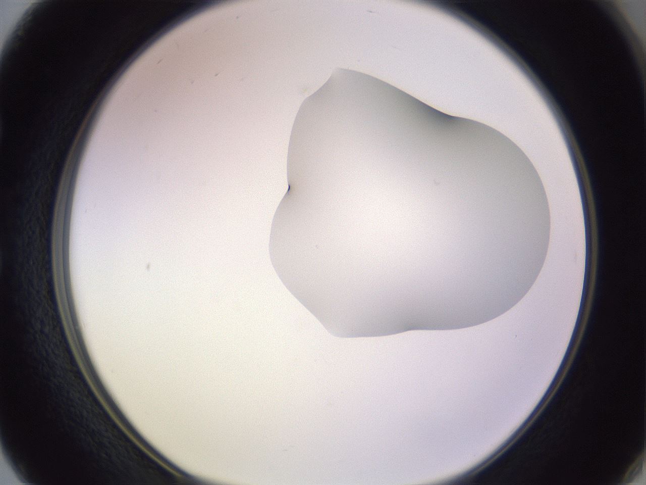 folderID281_plateID1281_batchID4174_wellNum50_profileID1_d1_r75930_ef.jpg