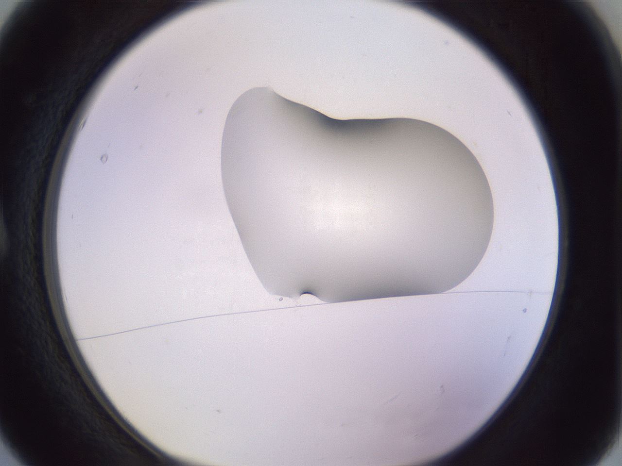 folderID281_plateID1281_batchID4174_wellNum5_profileID1_d1_r75840_ef.jpg